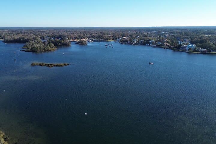 Private Kings Bay Manatee Eco Tour — Crystal River Boat Experience photo 2