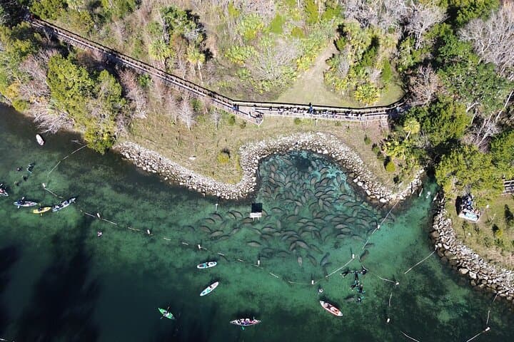 Private Kings Bay Manatee Eco Tour — Crystal River Boat Experience photo 3