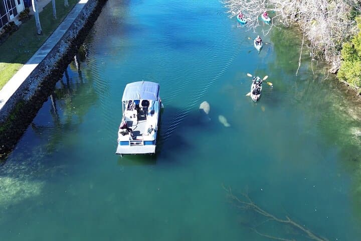 Private Kings Bay Manatee Eco Tour — Crystal River Boat Experience photo 4