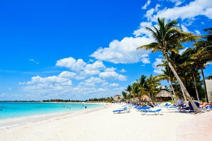 Saona Island Catamaran from Punta Cana — Full-Day Beach & Open Bar Excursion photo 2