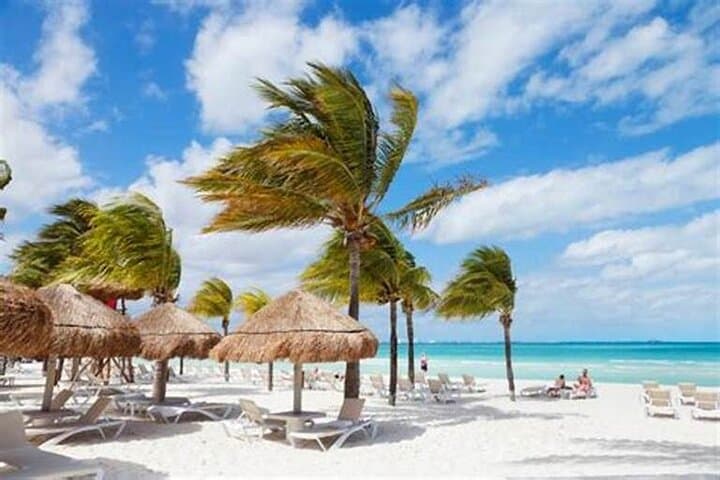 Saona Island Catamaran from Punta Cana — Full-Day Beach & Open Bar Excursion photo 3