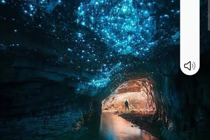 Waitomo Glowworm Caves & Ruakuri Cave: Day Trip from Auckland to See Glowworms photo 3