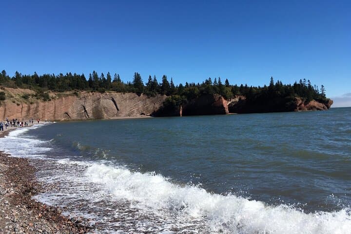 Shore and Hopewell Rocks Guided Tour: Bay of Fundy Tidal Experience photo 2