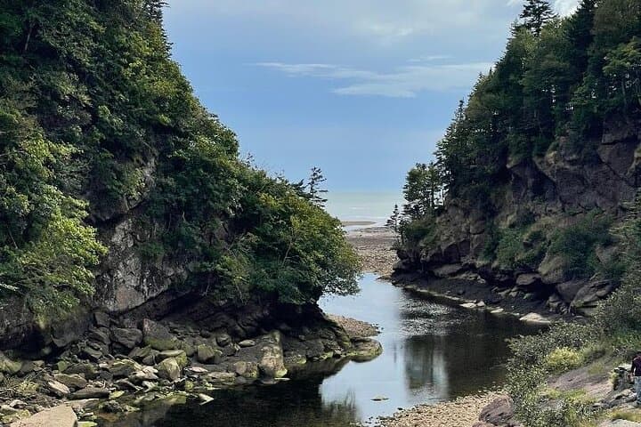 Shore and Hopewell Rocks Guided Tour: Bay of Fundy Tidal Experience photo 5