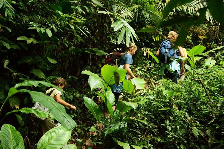 One-Day Jungle Trek in Nam Ha NPA: Khmu Villages, Medicinal Plants & Khmu Picnic