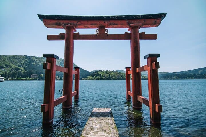 Cherry Blossoms and Volcanoes: Private Hakone Day Tour from Tokyo