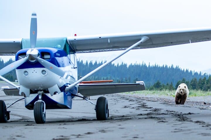 Lake Clark Bear Viewing Airplane Tour: Alaska Day Trip from Anchorage photo 3