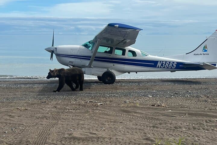 Lake Clark Bear Viewing Airplane Tour: Alaska Day Trip from Anchorage photo 5