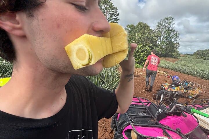 Panama ATV Pineapple Farm Tour: Mud, Hills & Finca Visit photo 5