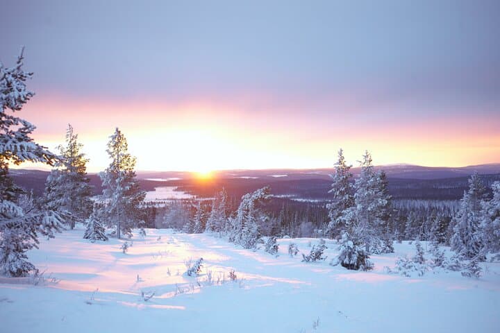 Private Snowshoeing Safari in Pallas National Park — Levi Pickup & Campfire photo 6