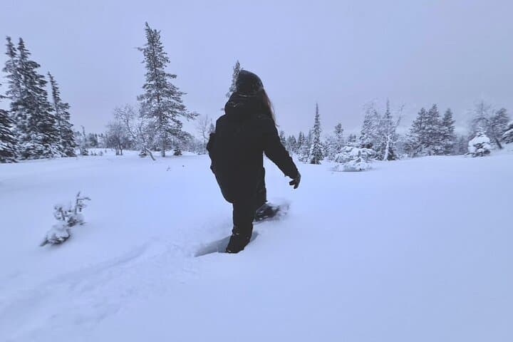 Private Snowshoeing Safari in Pallas National Park — Levi Pickup & Campfire photo 5