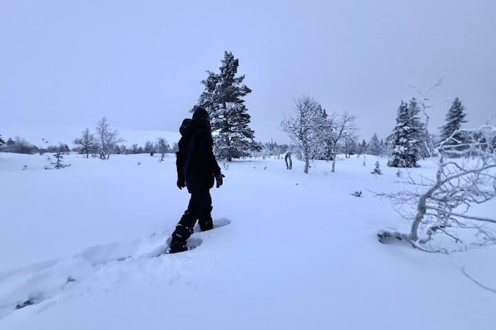 Private Snowshoeing Safari in Pallas National Park — Levi Pickup & Campfire photo 2