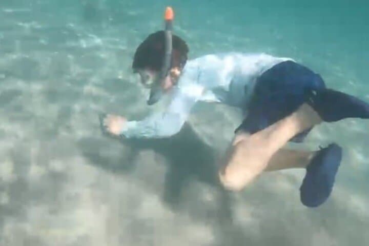 Jaco White Sand Beach Snorkel & Monkey Tour at Playa Blanca photo 2