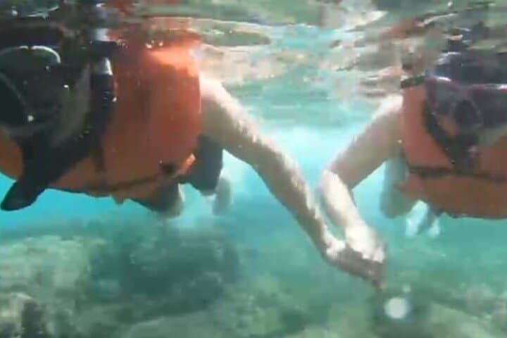Jaco White Sand Beach Snorkel & Monkey Tour at Playa Blanca photo 3
