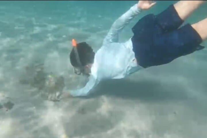 Jaco White Sand Beach Snorkel & Monkey Tour at Playa Blanca