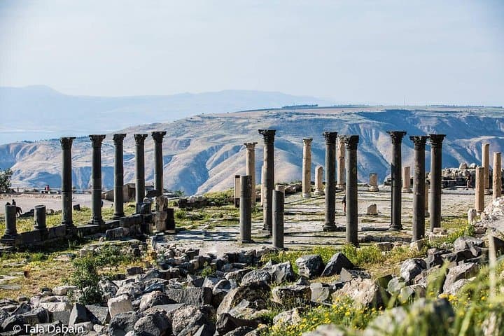 Jerash, Ajloun & Umm Qais Day Trip — Roman Ruins to Hilltop Views photo 5