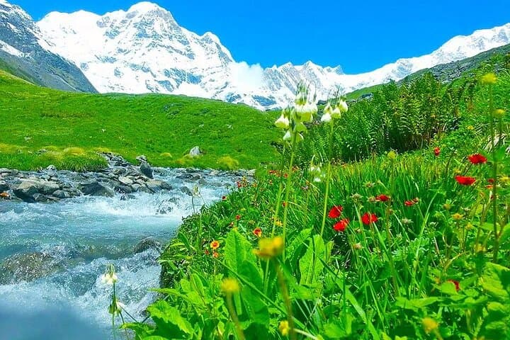 7-Day Annapurna Base Camp Trek from Pokhara photo 3