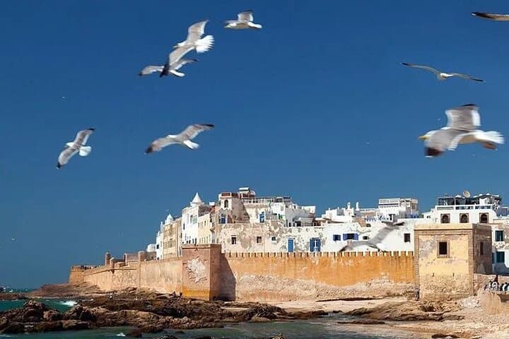 Full-Day Essaouira Trip from Marrakech: Medina, Argan Cooperative & Atlantic Coast photo 4