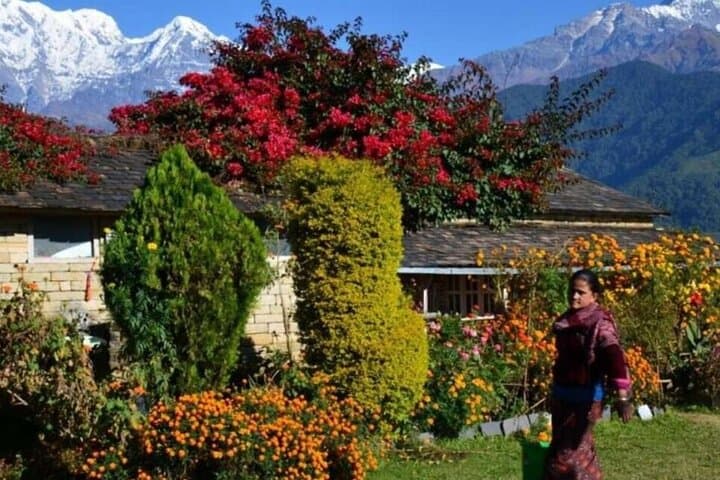 Dhampus & Astam Day Hike from Pokhara — Annapurna Views and Gurung Village Walk photo 6