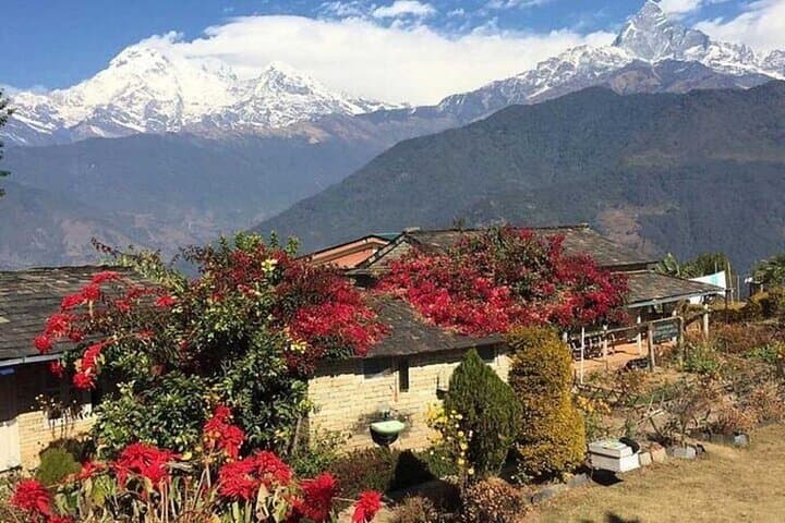 Dhampus & Astam Day Hike from Pokhara — Annapurna Views and Gurung Village Walk photo 4