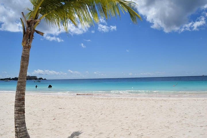 Private Coach Charter Barbados: Custom 3-4 Hour Island Tour for Up to 20 photo 4