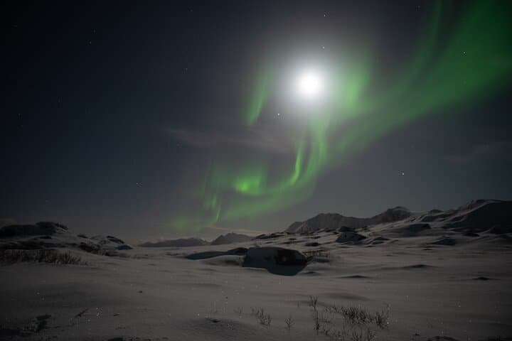 Chasing the Northern Lights in Lofoten: Private Aurora Photography Tour from Svolvær