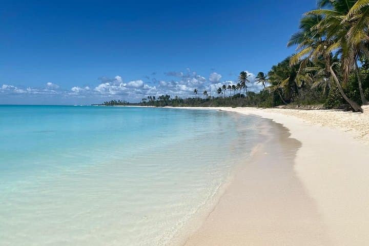 Private All-Inclusive Saona Island Boat Tour from Bayahibe photo 3