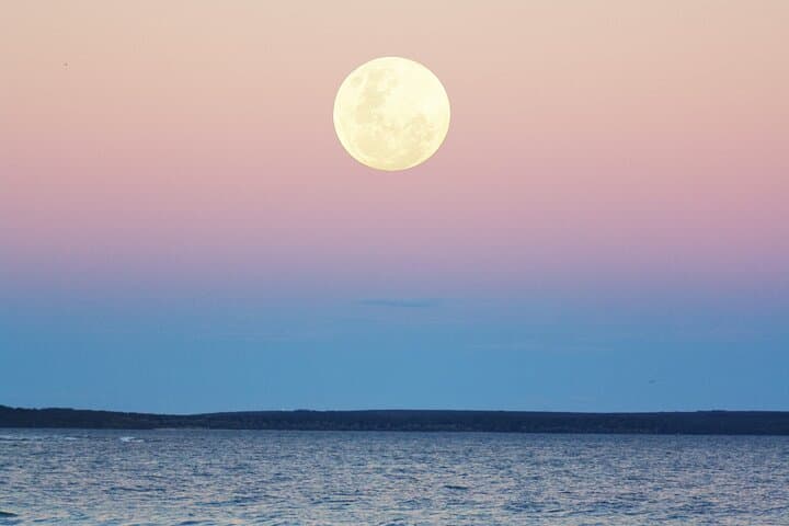 Full Moon Sail in Sotogrande: 2.5-Hour Night Navigation on the Assol photo 5