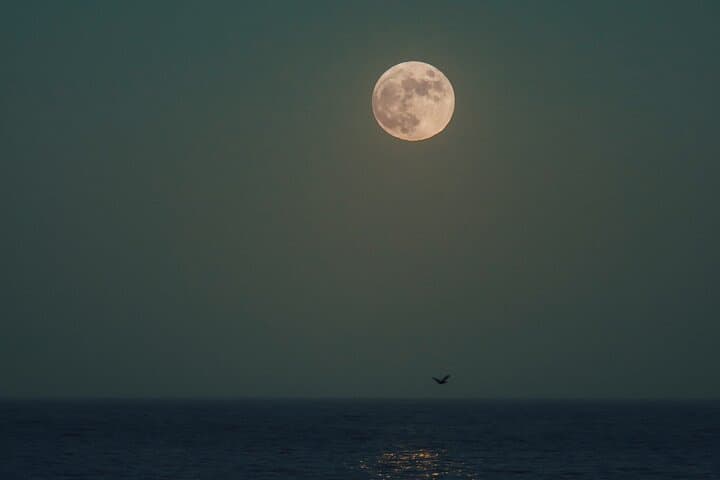 Full Moon Sail in Sotogrande: 2.5-Hour Night Navigation on the Assol photo 6
