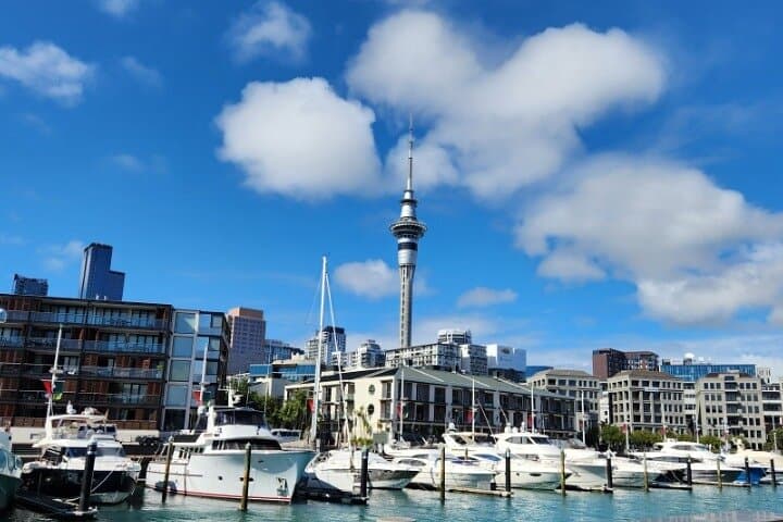 Auckland Highlights Full-Day Guided Tour: Westhaven, Mt Eden & Piha Beach