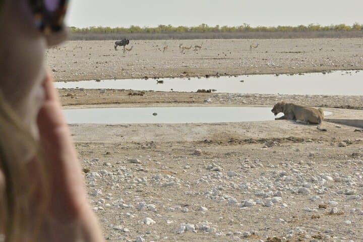 6-Day Namibia Safari: Wildlife, Oceans & Dunes Self-Drive Adventure photo 6