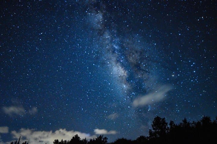 Night Jungle and Milky Way Stargazing on Miyako Island photo 5