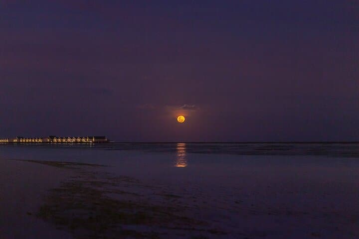 Full Moon Sail in Sotogrande: 2.5-Hour Night Navigation on the Assol photo 3