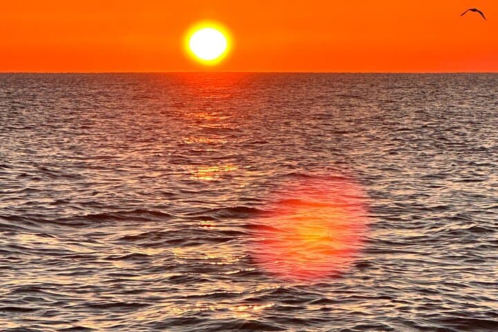 Private Sunrise Cruise: Ponce Inlet Champagne & Dolphins photo 2