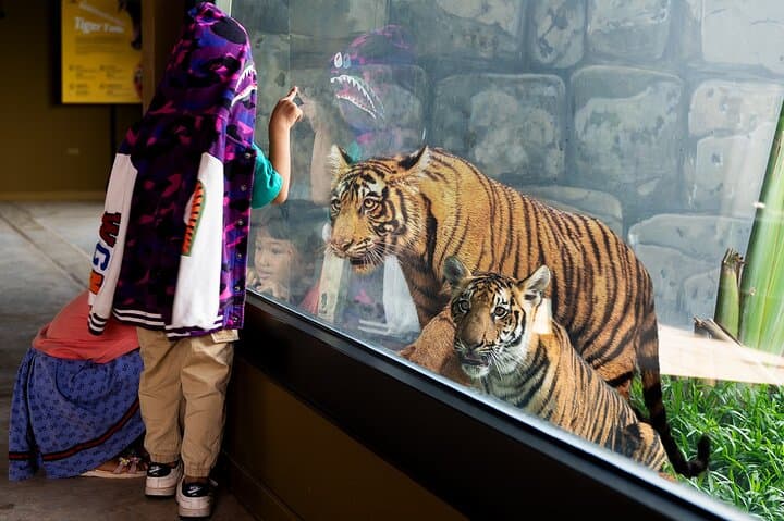 Inside Angkor Wildlife and Aquarium: Full-Day Conservation Experience in Siem Reap photo 2