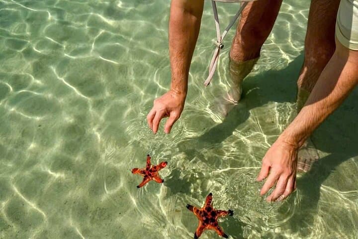Private Phu Quoc Local Life & Starfish Beach (Rach Vem) Day Tour