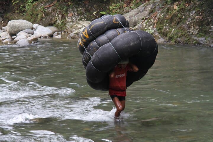 2-Day Bukit Lawang Orangutan Jungle Trek from Medan photo 3