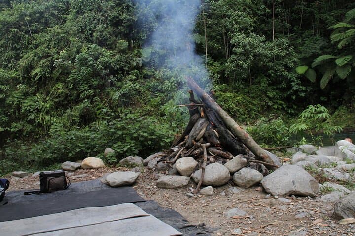 2-Day Bukit Lawang Orangutan Jungle Trek from Medan photo 4