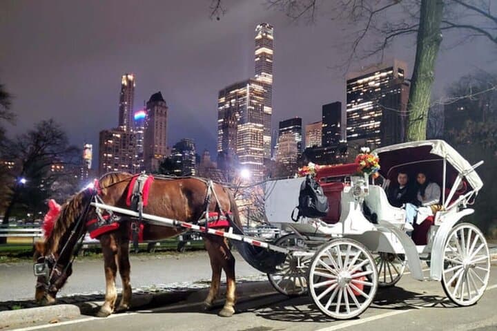 Central Park Private Horse Carriage Ride: Classic 40-Minute Tour in NYC photo 4