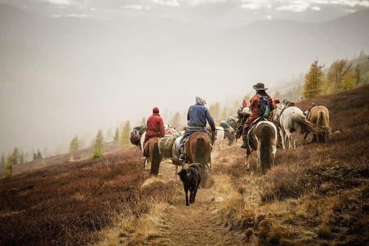 10-Day Horse Trekking in Khentii: Terelj to Khagiin Khar Lake Adventure