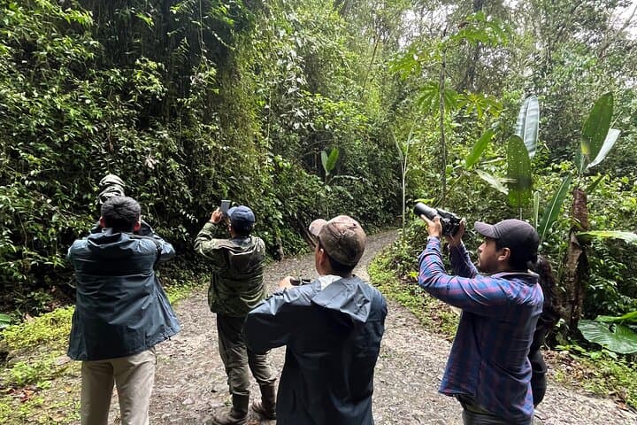 10-Day Birding & Photo Tour: Andes to Amazon Ecuador photo 4