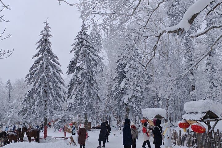 Day Trip to China Snow Town (Xuexiang): Private Tour from Harbin