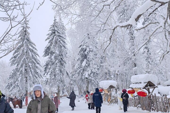 Day Trip to China Snow Town (Xuexiang): Private Tour from Harbin photo 4