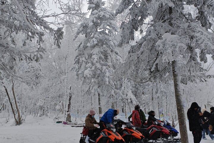 Day Trip to China Snow Town (Xuexiang): Private Tour from Harbin photo 6