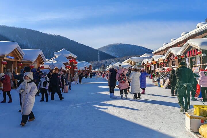 Day Trip to China Snow Town (Xuexiang): Private Tour from Harbin photo 5