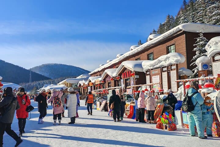 Day Trip to China Snow Town (Xuexiang): Private Tour from Harbin photo 2