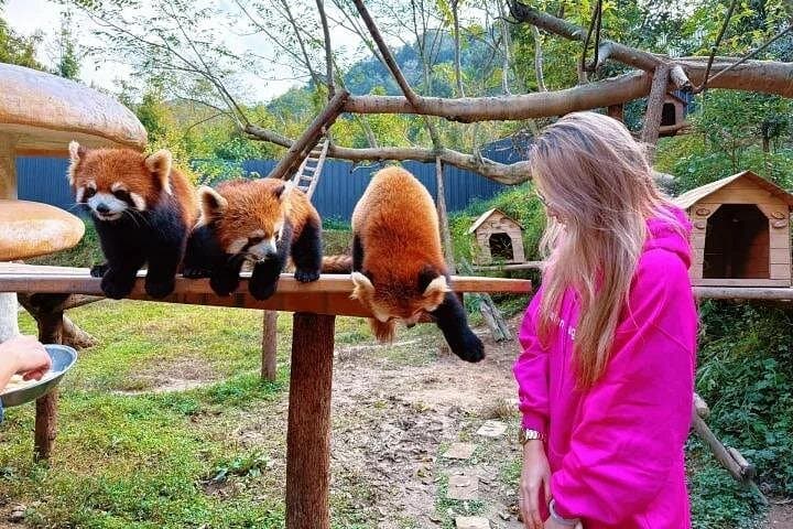 6-Day Chengdu Independent City Tour — Accommodation, Airport Transfers & Breakfast Included photo 2