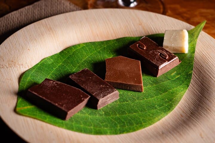 Bean-to-Bar Chocolate Tasting & Factory Tour in Manassas