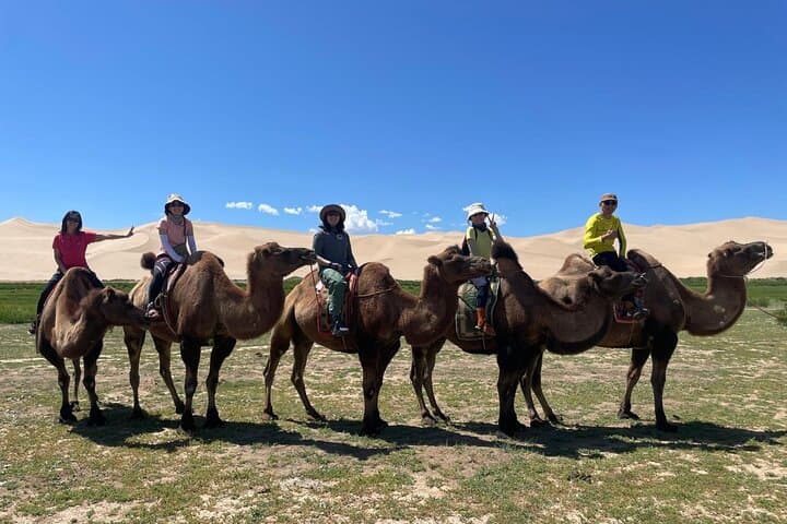 6-Day Gobi Desert Highlights: Khongor Dunes, Yol Valley & Flaming Cliffs photo 2