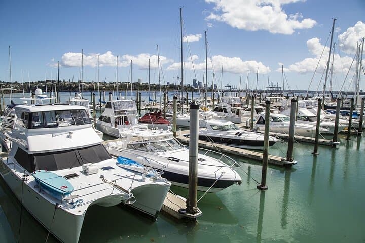 Auckland Private Full-Day Attractions Tour & Museums — Best of Auckland in One Day photo 4